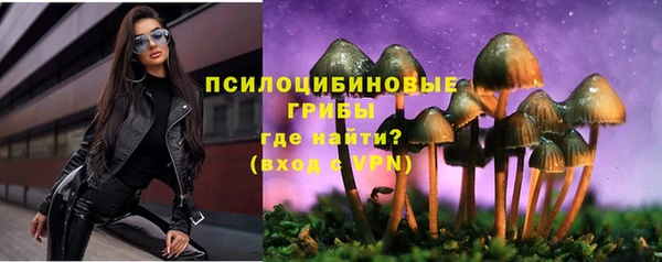 Альфа ПВП Алзамай